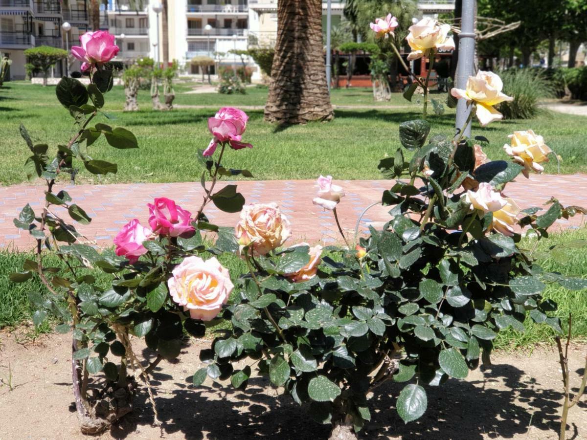 Apartamento Kristina Lägenhet Salou Exteriör bild